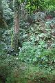 2011-05- (423)